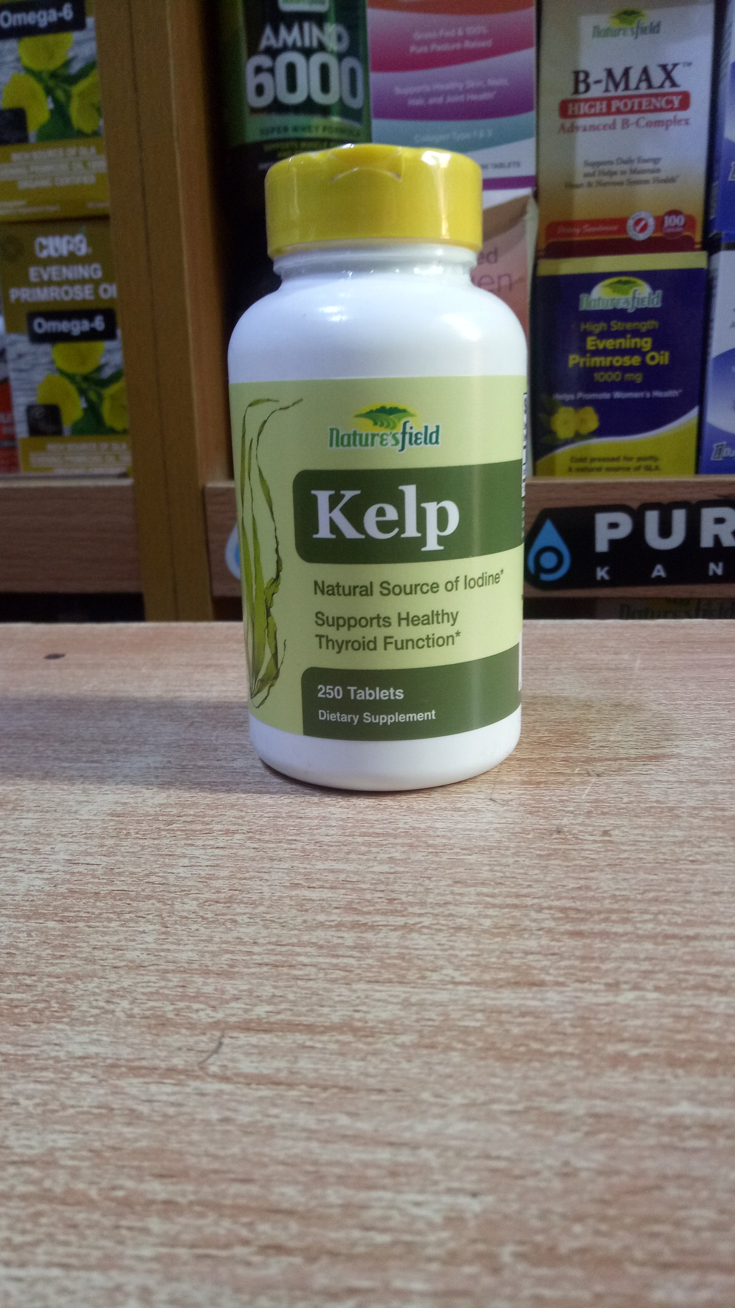 NATURE'S FIELD KELP X 250 TABLETS